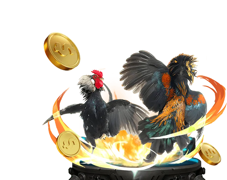 Hoàn trả hàng ngày 789bet win